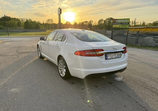 Jaguar XF cena 47000 przebieg: 203000, rok produkcji 2012 z Radzymin małe 67